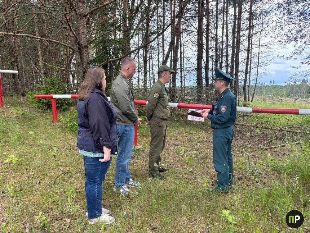 В Минском районе усилили проверку пожароопасных локаций в экосистемах