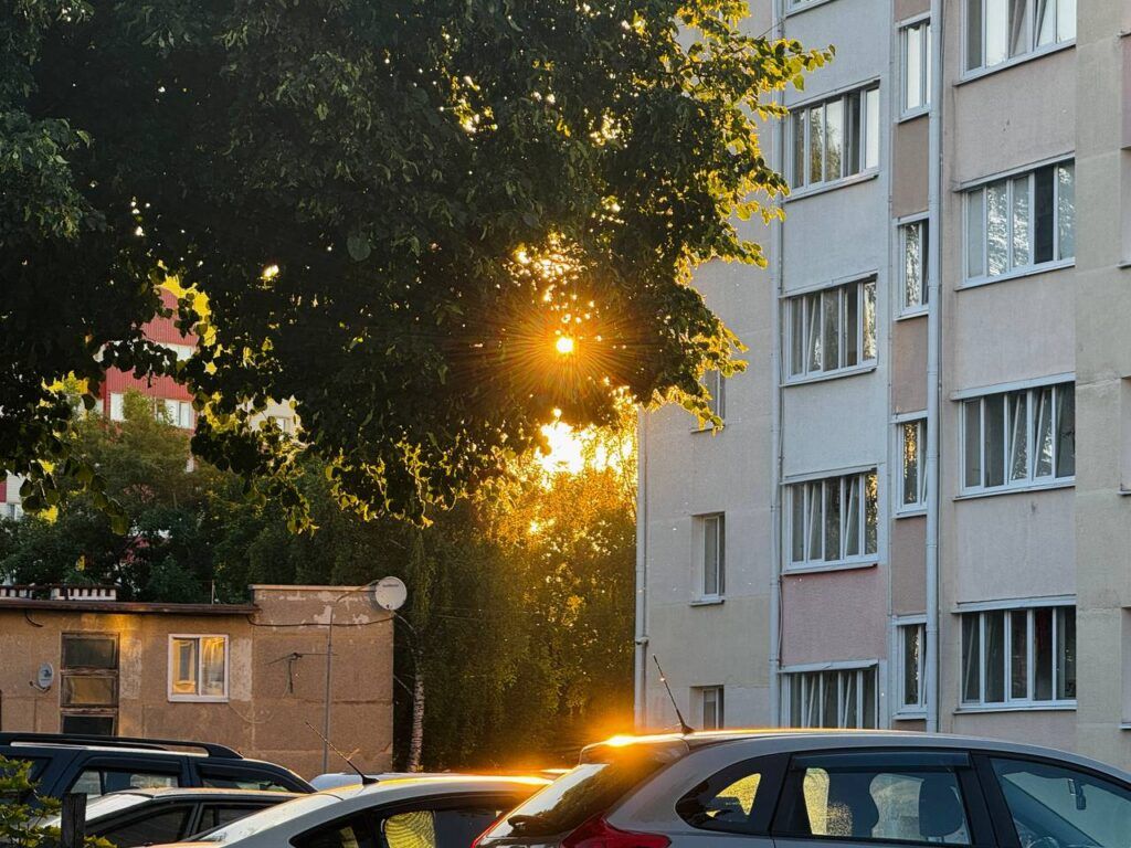 Белгидромет: в Беларусь придет тропическая жара до +38°С