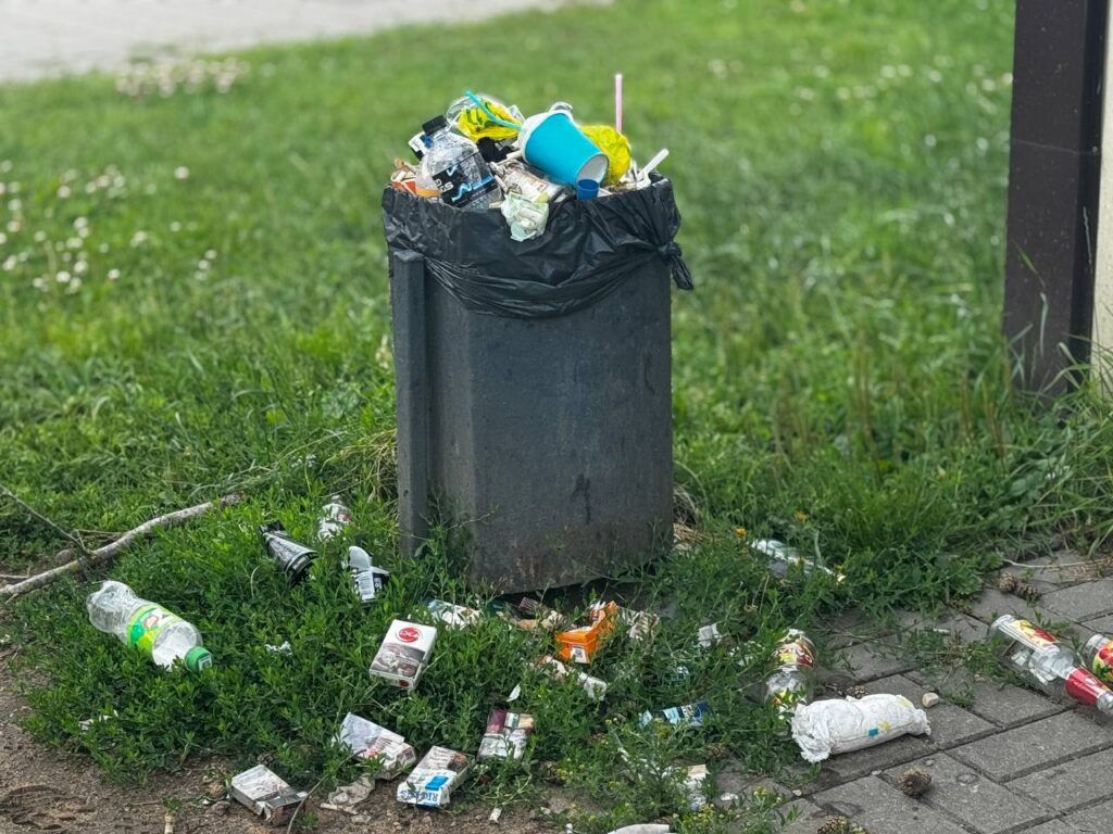 Почему остановки в Боровлянах и Лесном регулярно тонут в мусоре