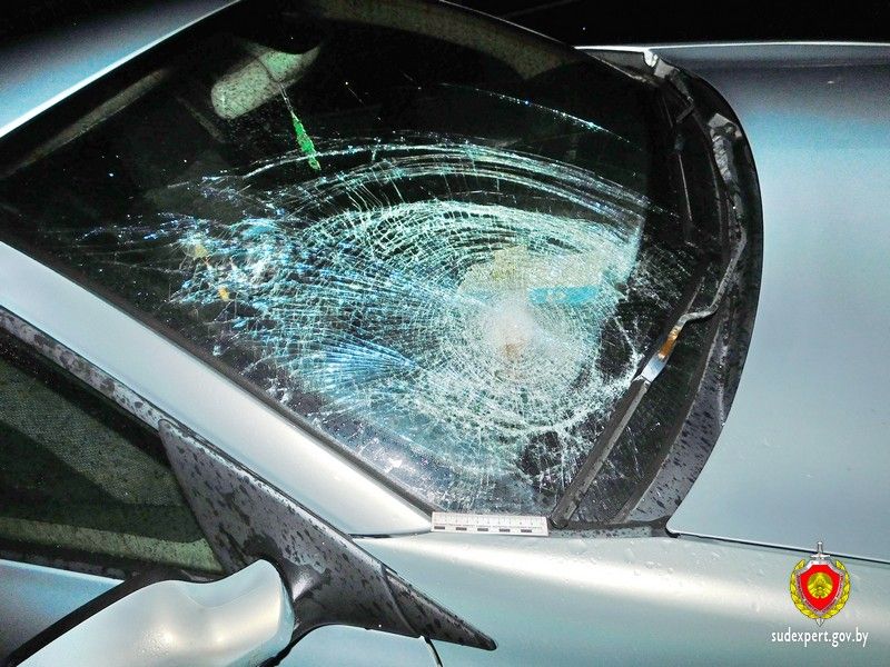 Кем оказалась женщина, попавшая под колеса авто на МКАД-2