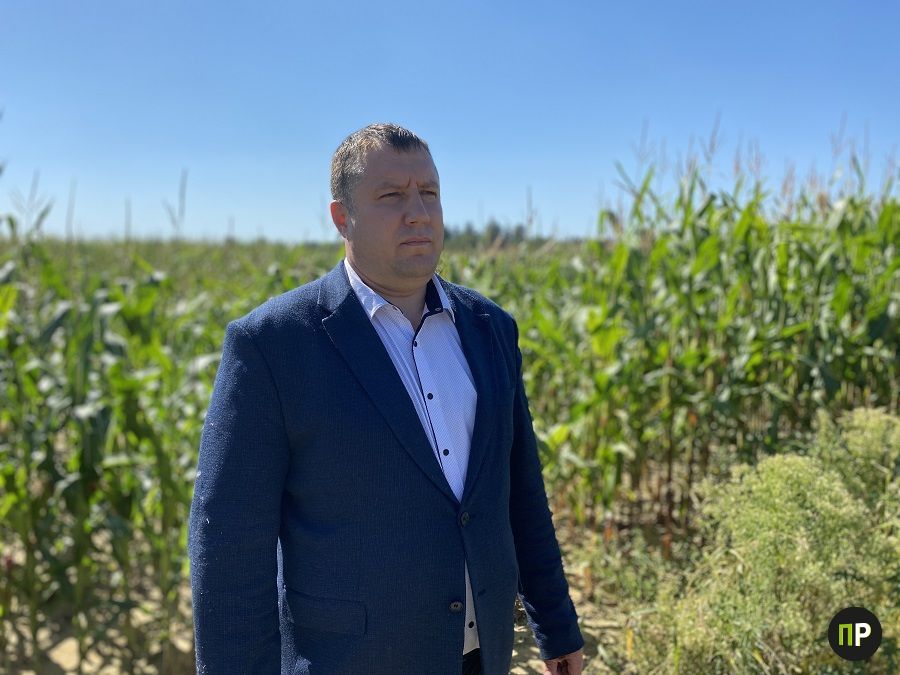 Сергей Примаченко проведет прием граждан и прямую линию