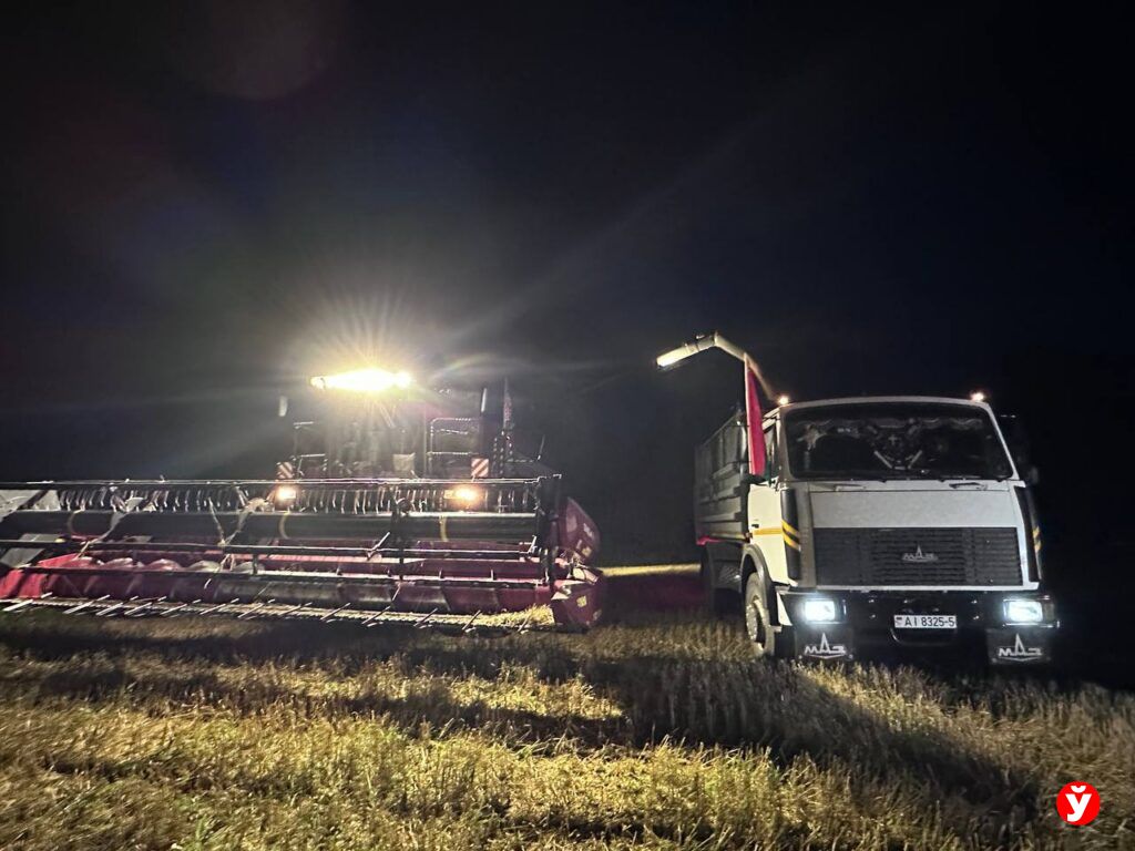 Как проходит ночная уборка урожая на Минщине