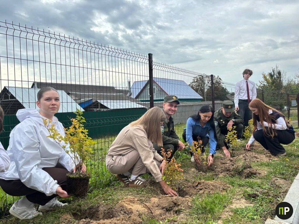 День народного единства в Минском районе: высадка аллеи и автопробег