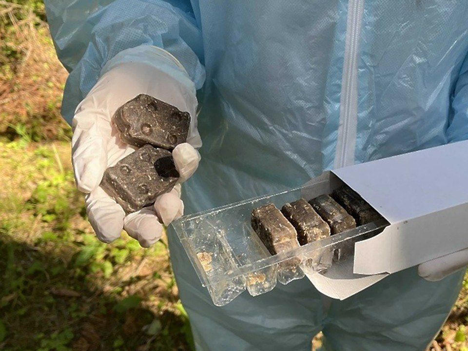 Над лесами под Минском начали раскидывать приманки