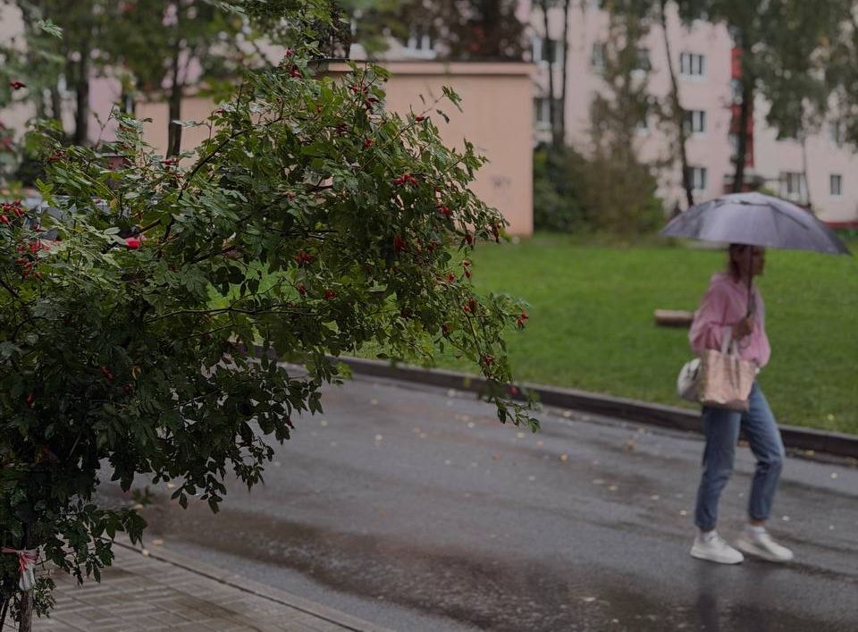 Сильные ливни обрушатся на Минск 22 сентября