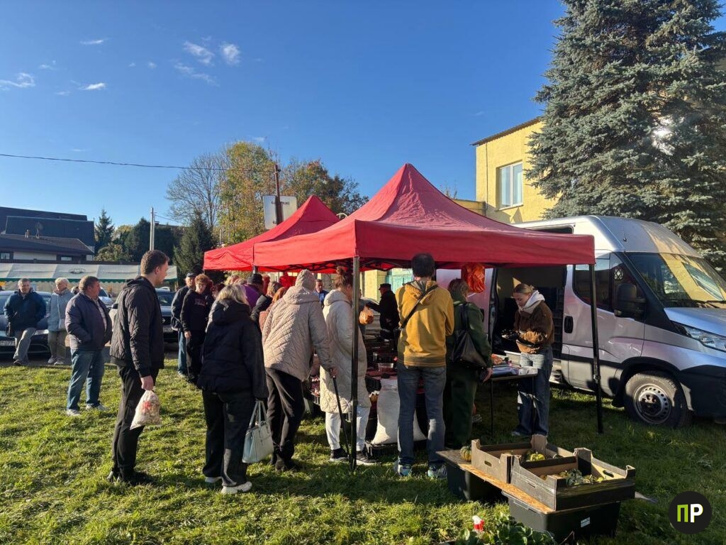Ярмарка картофеля и саженцев в Самохваловичах: цены, новые сорта