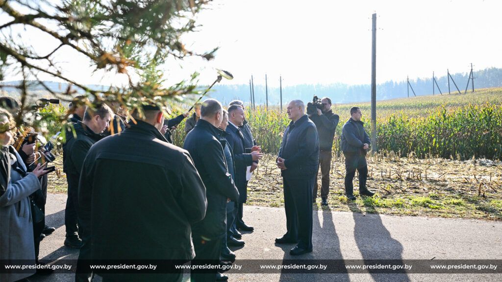 В Минском районе Александр Лукашенко оценил эксперимент по повышению плодородия почв и земель