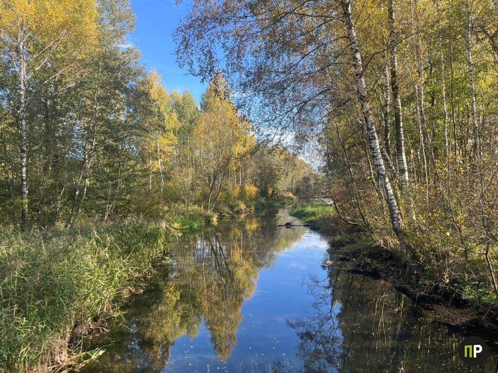 Нашли живописное место под Минском, куда едут за осенними фото