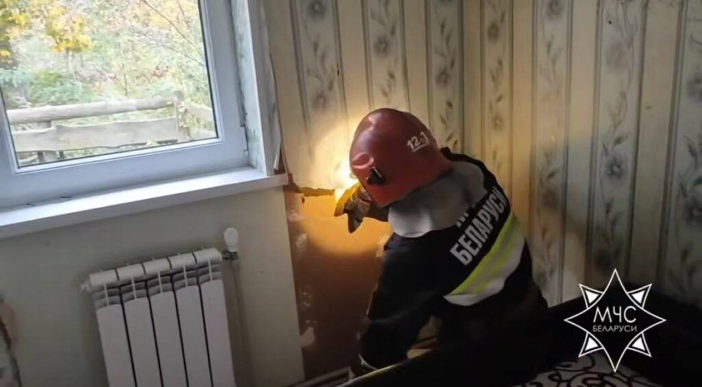 В Колодищах спасателям пришлось вскрывать стену в квартире из-за птицы
