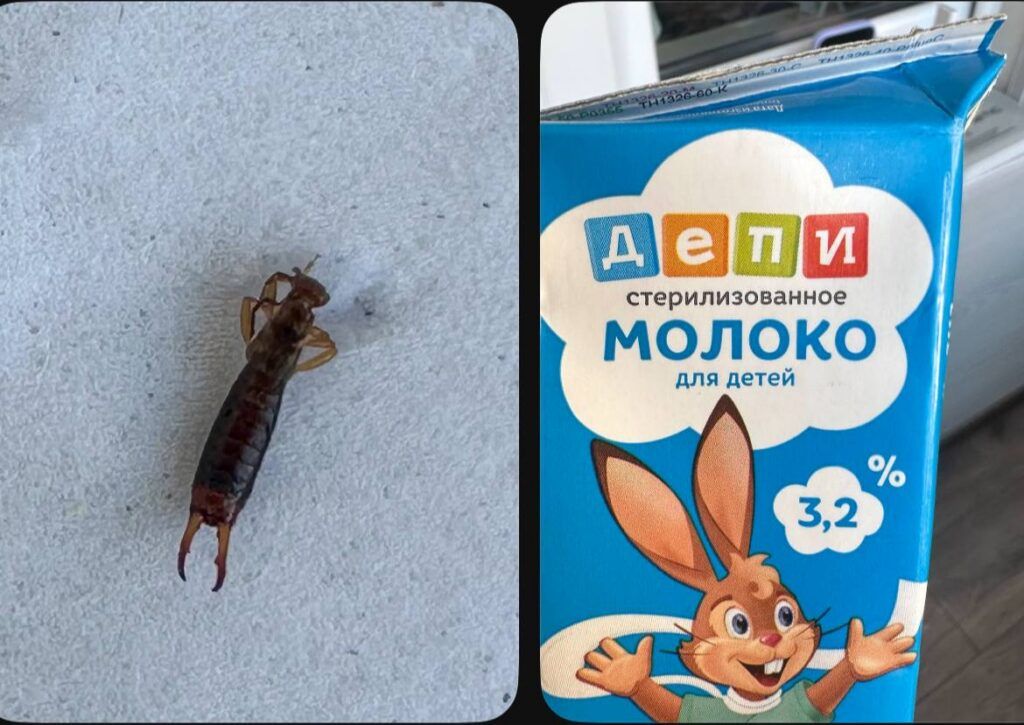 Минский молочный завод №1 опроверг информацию о насекомом в детском молоке из Threads