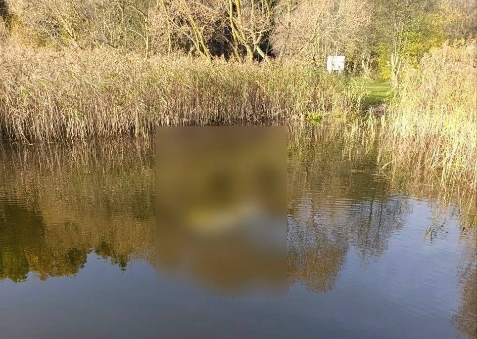 На водохранилище Вяча в Минском районе обнаружили тело женщины